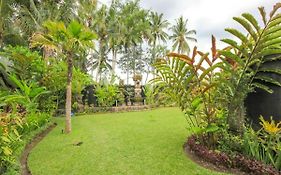 Luxury 3Br Infinity Jungle View Aashaya Villa Ubud